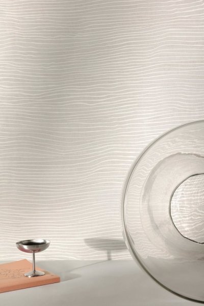 ray102_altpic_1.jpg