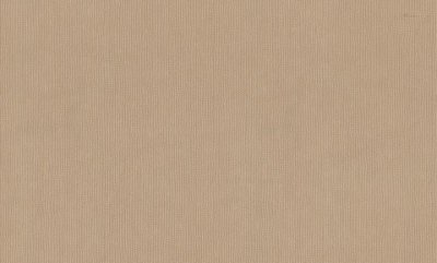 bm31051.jpg