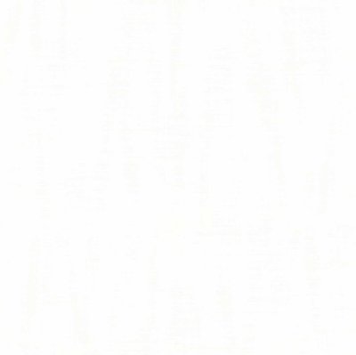 parato_2067.jpg
