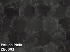 Z80001.jpg