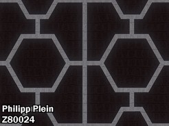 Z80024.jpg