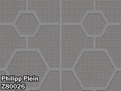 Z80026.jpg